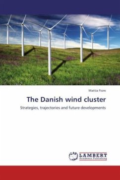 The Danish wind cluster