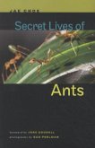 Secret Lives of Ants