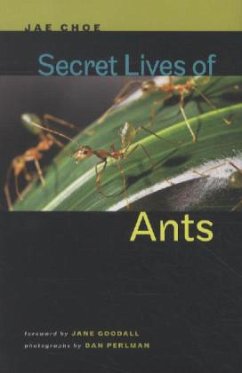 Secret Lives of Ants - Choe, Jae (Director, Natural History Museum, Director, Institute of