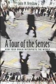 A Tour of the Senses