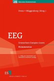 Erneuerbare-Energien-Gesetz (EEG), Kommentar