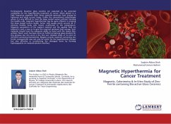 Magnetic Hyperthermia for Cancer Treatment