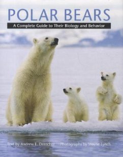 Polar Bears - Derocher, Andrew E.