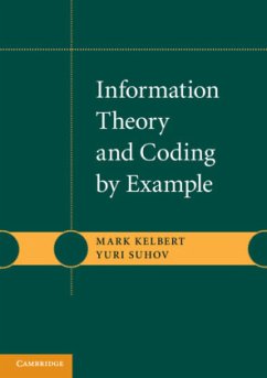 Information Theory and Coding by Example - Kelbert, Mark; Suhov, Yuri