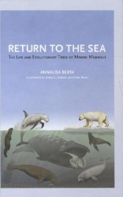 Return to the Sea - Berta, Annalisa