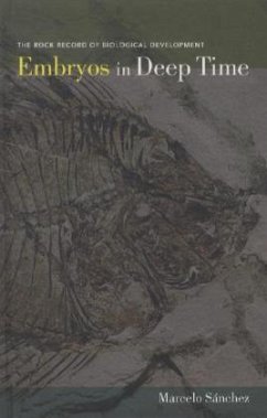 Embryos in Deep Time - Sánchez, Marcelo