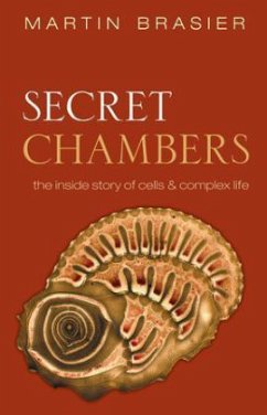 Secret Chambers - Brasier, Martin