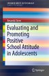 Evaluating and Promoting Positive... - Bild 1