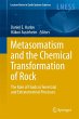 Metasomatism and the Chemical... - Bild 1