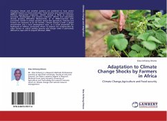 Adaptation to Climate Change Shocks by Farmers in Africa