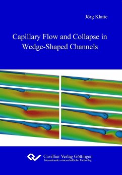 Capillary Flow and Collapse in Wedge-Shaped Channels - Klatte, Jörg