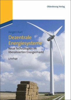 Dezentrale Energiesysteme - Karl, Jürgen