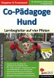 Co-Pädagoge Hund. Lernbegleiter auf... - Bild 1