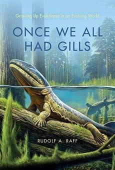 Once We All Had Gills - Raff, Rudolf A