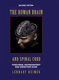 The Human Brain and Spinal Cord