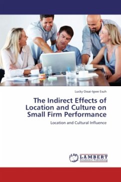 The Indirect Effects of Location and Culture on Small Firm Performance