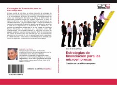 Estrategias de financiación para las microempresas - Fleitas, José de la Cruz