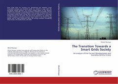 The Transition Towards a Smart Grids Society