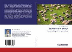 Brucellosis in Sheep