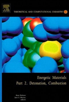 Energetic Materials: Part 2. Detonation, Combustion (Volume 13) (Theoretical and Computational Chemistry, Volume 13, Band 13)