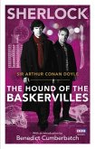 Sherlock: The Hound of the Baskervilles