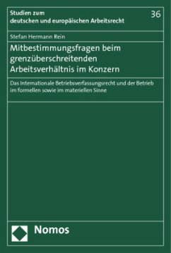 Mitbestimmungsfragen beim grenzüberschreitenden Arbeitsverhältnis im Konzern - Rein, Stefan Hermann