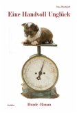 Eine Handvoll Unglück