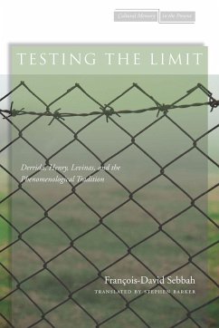 Testing the Limit - Sebbah, Francois-David