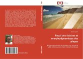 Recul des falaises et morphodynamique des plages