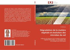 Dégradation de la matière végétale et évolution des microbes du sol - Mekkaoui, Ali