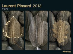 Cover Triplets 2013 by Laurent Pinsard