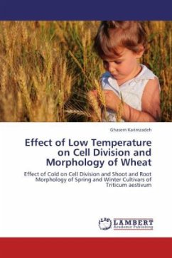 Effect of Low Temperature on Cell Division and Morphology of Wheat - Karimzadeh, Ghasem