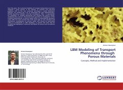 LBM Modeling of Transport Phenomena through Porous Materials