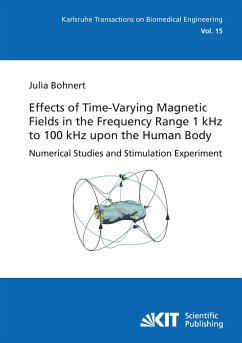 Effects of Time-Varying Magnetic Fields in the Frequency Range 1 kHz to 100 kHz upon the Human Body : Numerical Studies and Stimulation Experiment - Bohnert, Julia