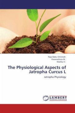 The Physiological Aspects of Jatropha Curcus L