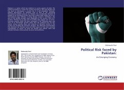 Political Risk faced by Pakistan: