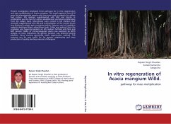 In vitro regeneration of Acacia mangium Willd. - Chauhan, Rajveer Singh;Jha, Suman Kumar;Jha, Sanjay