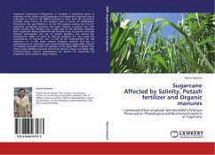 Sugarcane Affected by Salinity, Potash fertilizer and Organic manures