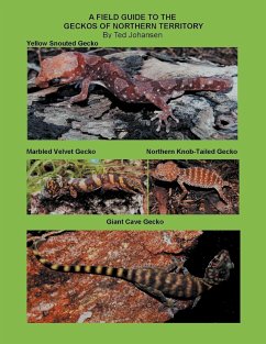 A Field Guide to the Geckos of Northern Territory - Johansen, Ted