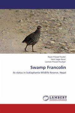 Swamp Francolin