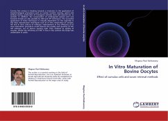 In Vitro Maturation of Bovine Oocytes
