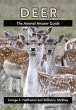 Deer - Bild 1