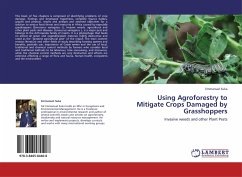 Using Agroforestry to Mitigate Crops Damaged by Grasshoppers