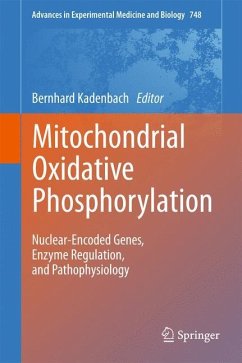 Mitochondrial Oxidative Phosphorylation