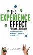 The Experience Effect for Small Business - Bild 1