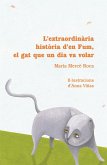 L'extraordinària histìòria d'en fum : el gat que un dia va volar