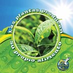 Las Plantas Producen Su Propio Alimento