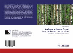 Archaea in boreal forest tree roots and mycorrhizas