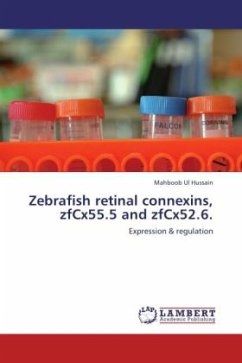 Zebrafish retinal connexins, zfCx55.5 and zfCx52.6.