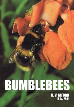 Bumble Bees - Alford, D. V.